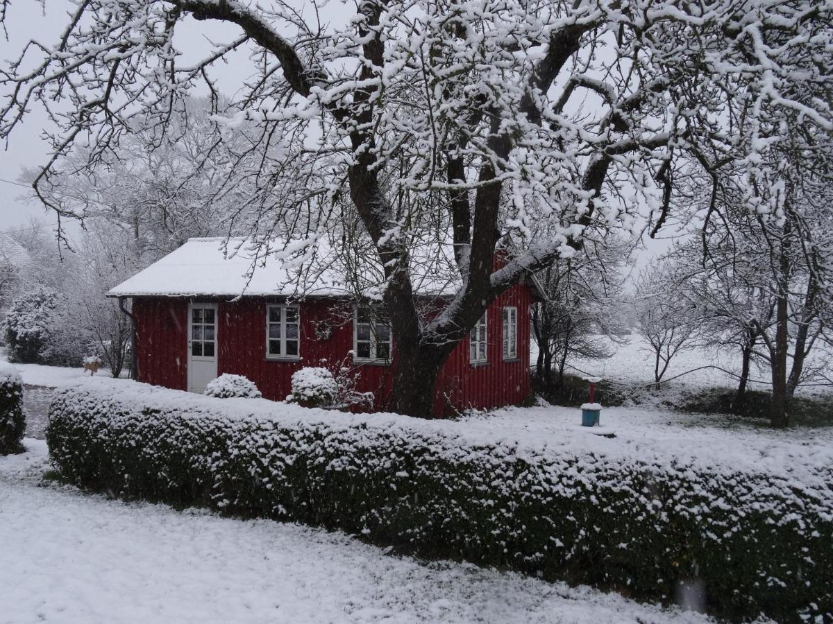 Hansenhof Kappeln Exterior foto